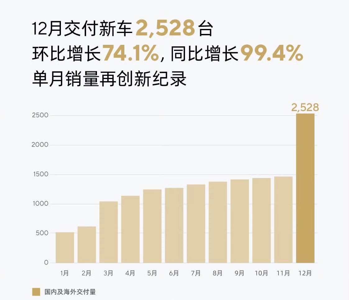 年销仅1.5万辆，极石汽车凭何生存？