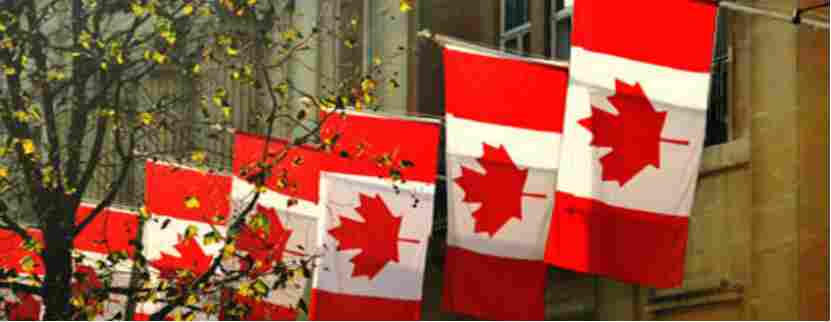 加拿大计划出台汽车新政！本土设厂优先，关税博弈谁能笑到最后？